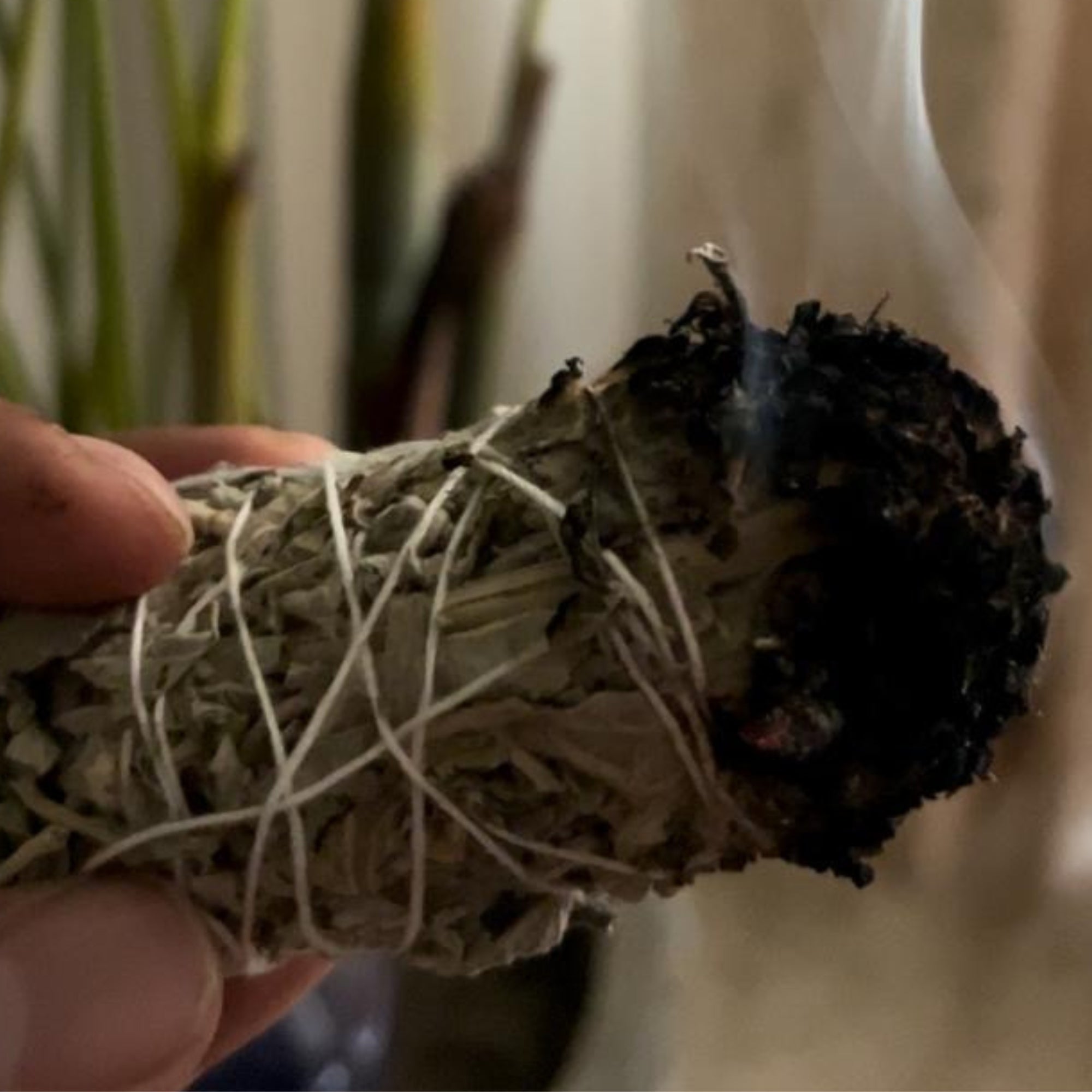 A hand holding a white sage smudge stick with visible herbs and a cotton string wrap.