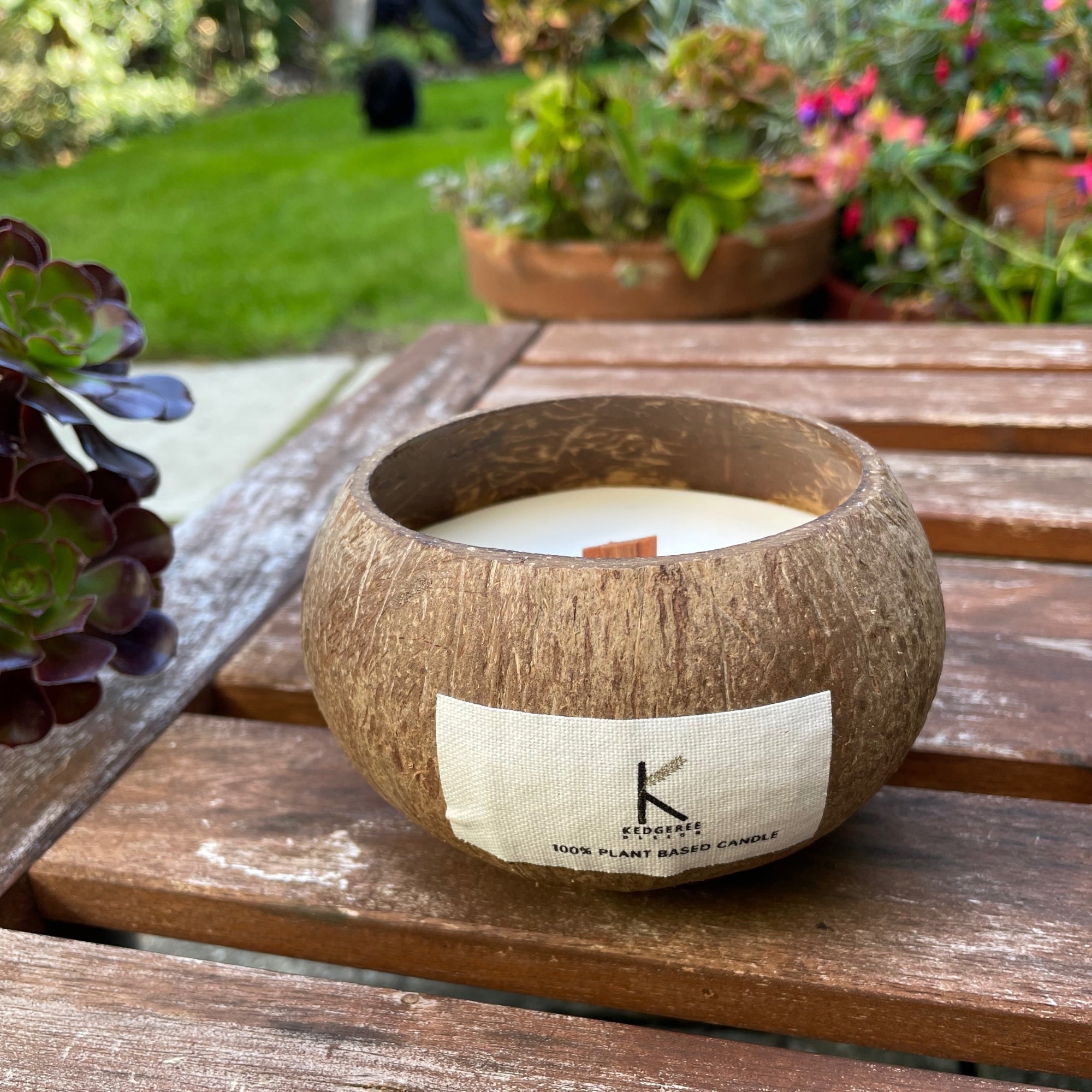 Plant Based Candle in a coconut shell on a wooden table with plants in the background