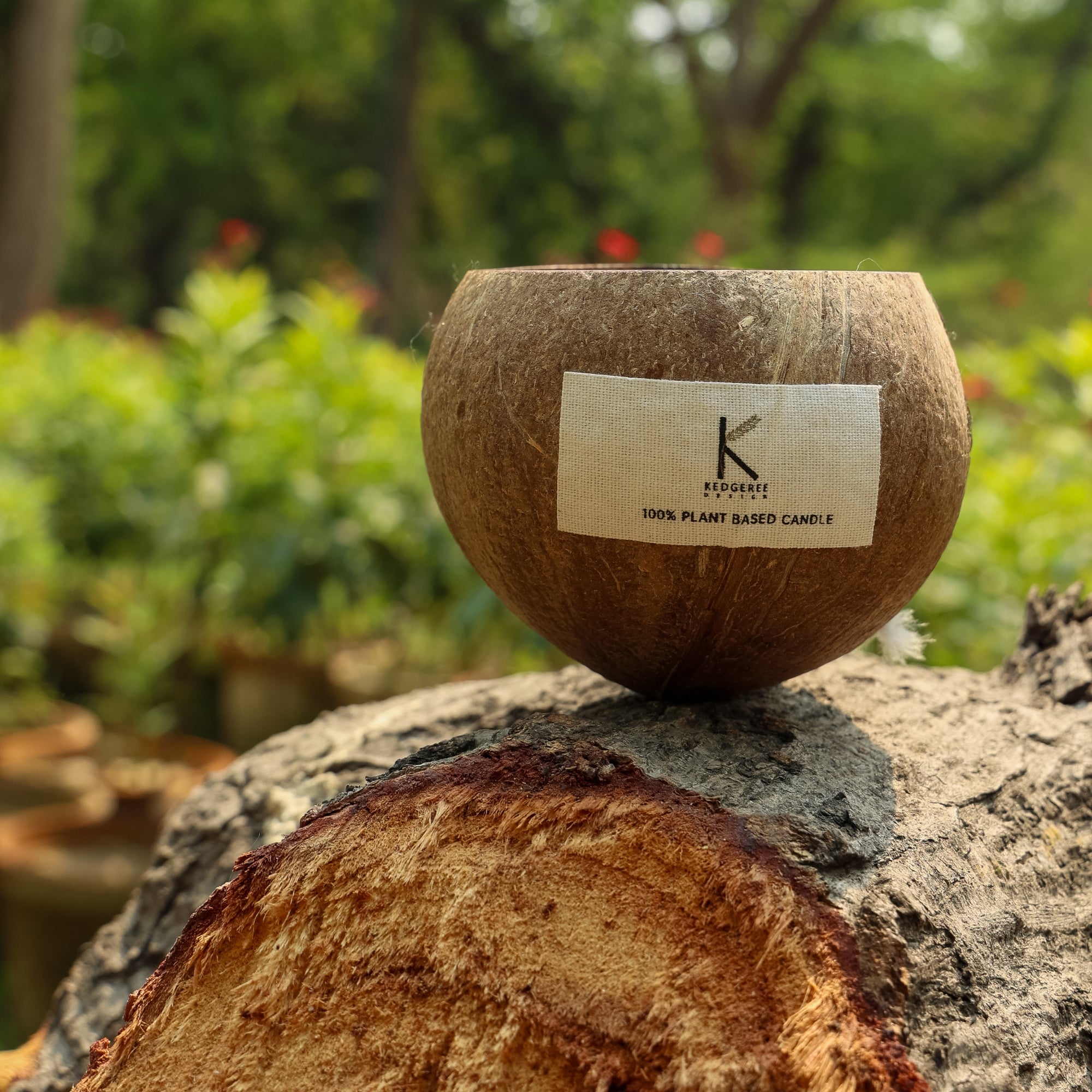 Plant Based Coconut shell candle with natural sandalwood fragrance placed on a sandalwood bark.