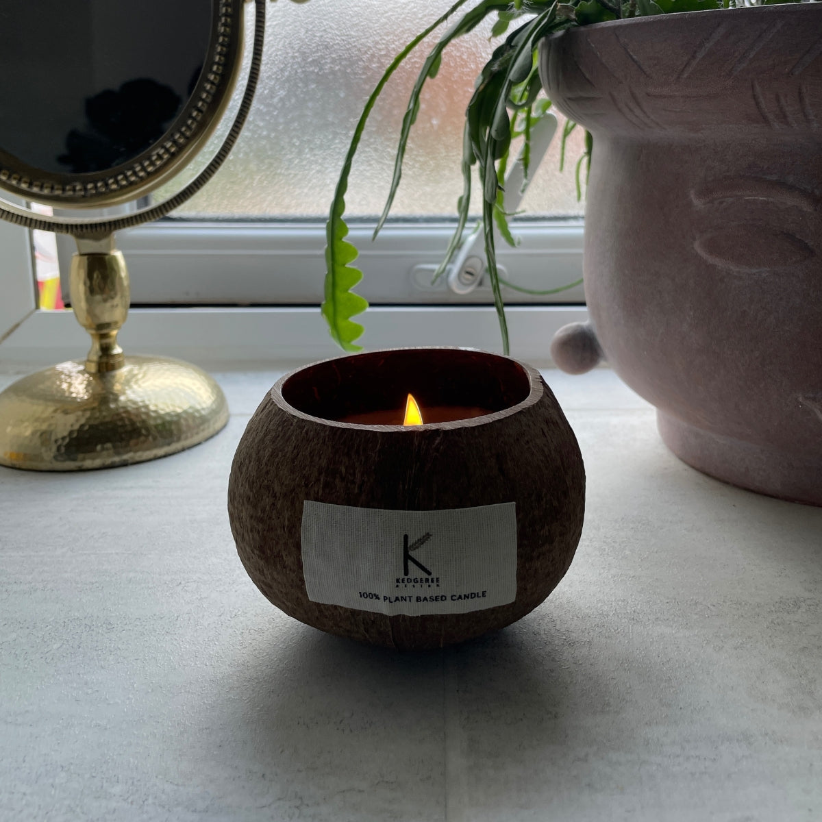 Plant based Candle in a coconut shell with a 'Kedgeree' label, placed on a surface with a plant and mirror in the background.