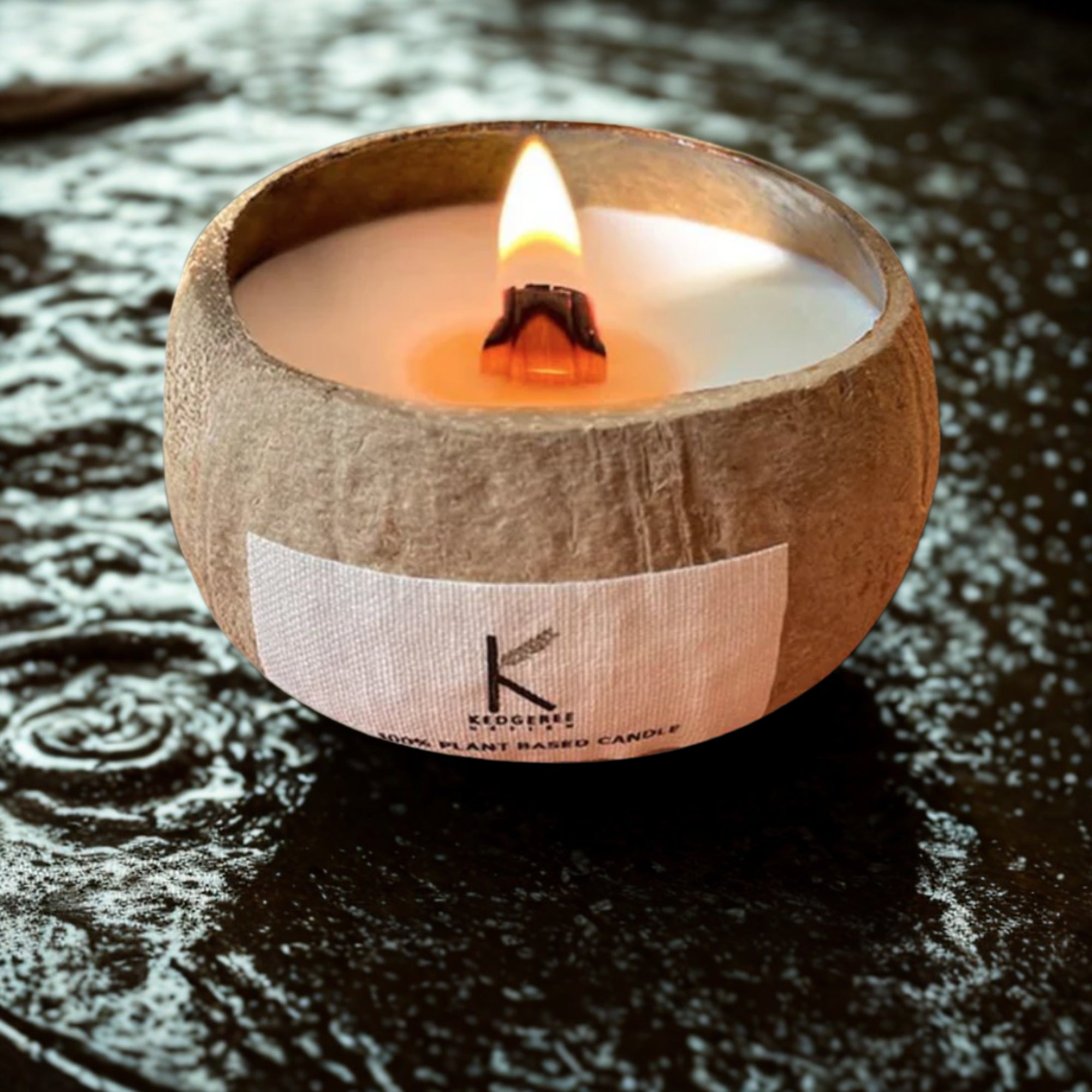 Delhi Oudh coconut shell candle 8.45oz with cherry wood wick