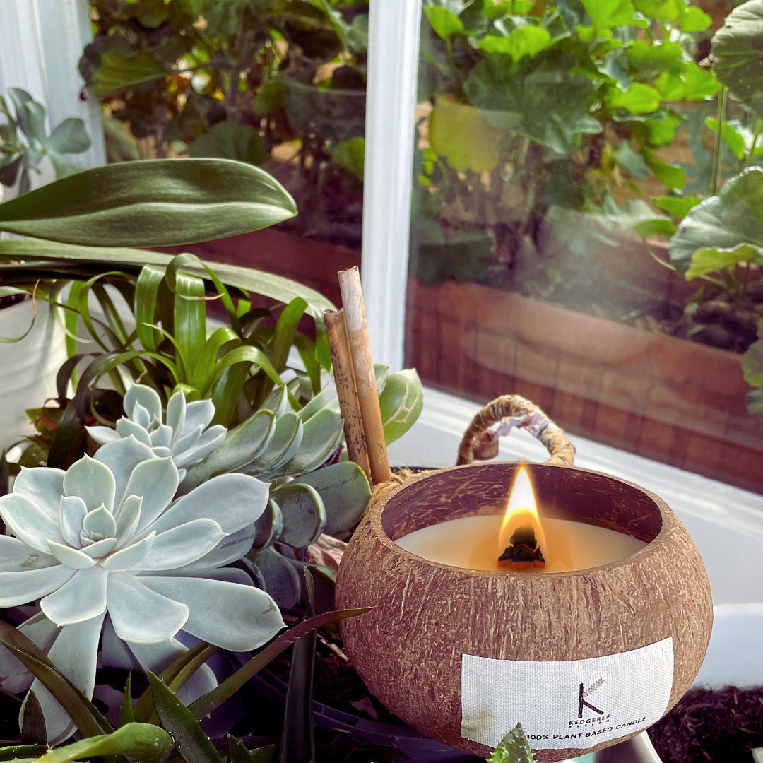 Rejuvenate Bliss Coconut Shell Candle