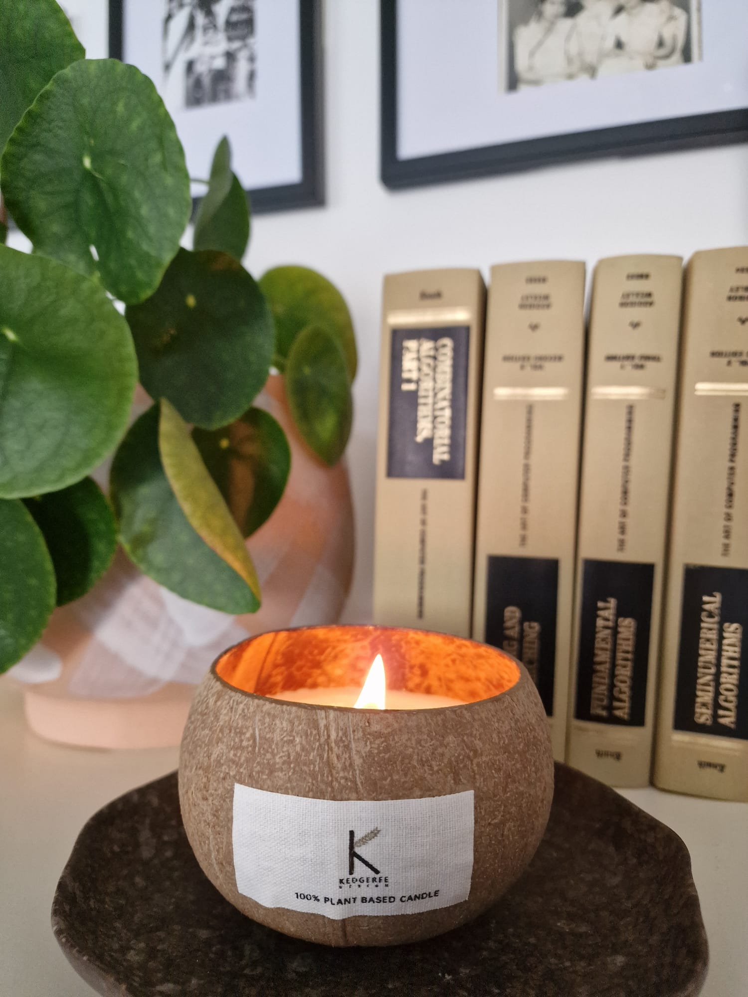 Plant based coconut shell candle lit in an office space with books and a plant in the background