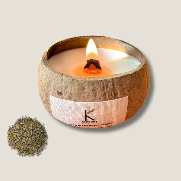 Udaipur Garden Coconut Shell Candle
