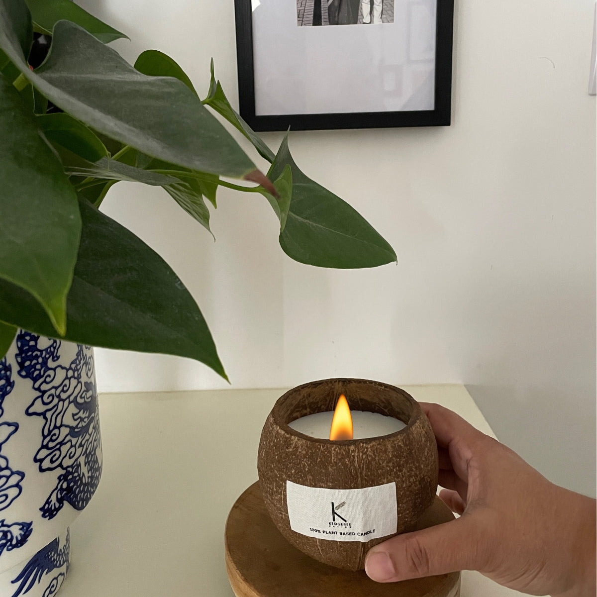 Plant based Candle in a coconut shell held by a hand with a plant and framed picture in the background