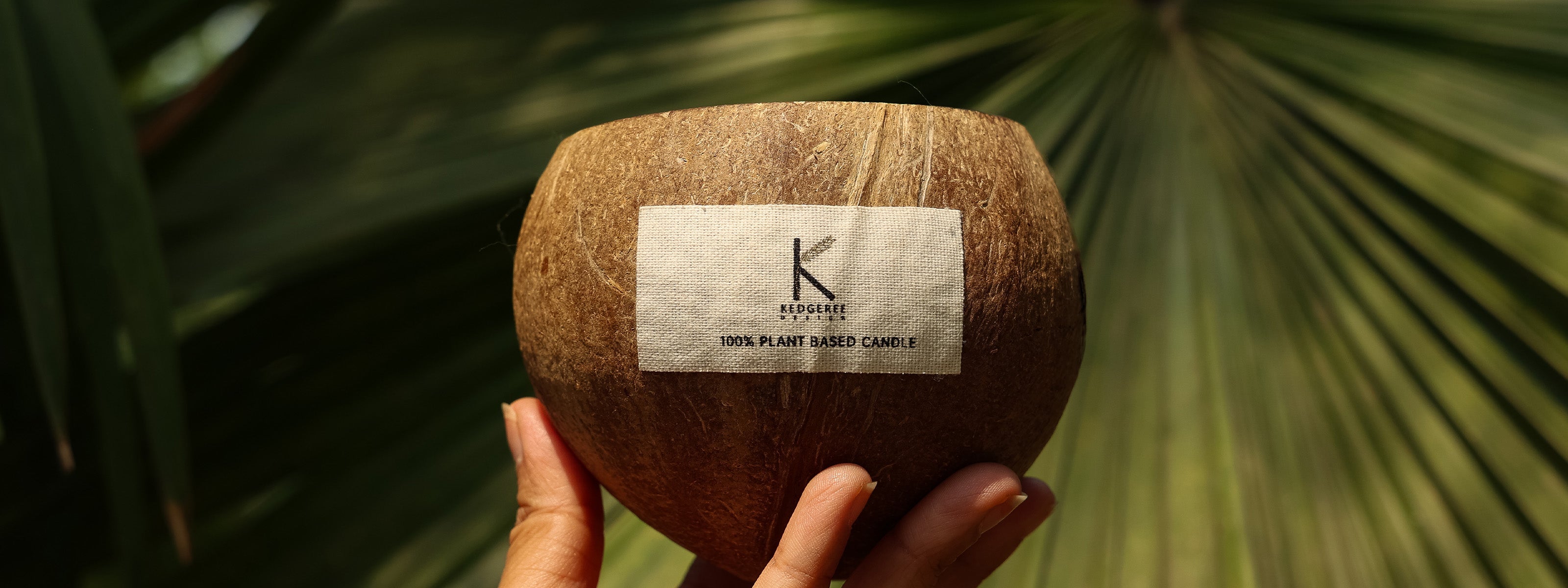 Natural Plant-Based Coconut Shell Candle against a lush green backdrop