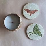 Eco-friendly Paper Mache Coasters - Set of 2