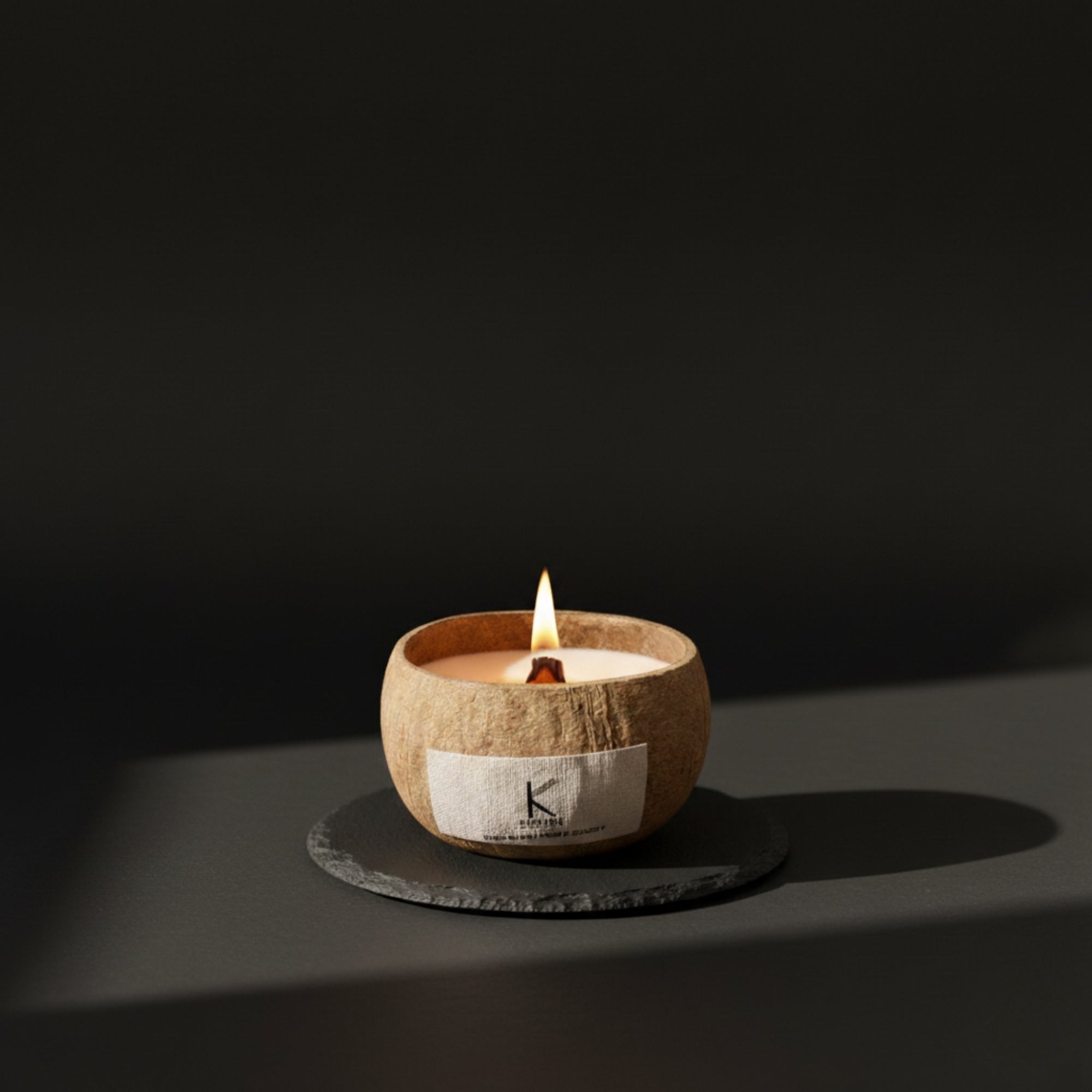 Plant based candle in a coconut shell with a dark background