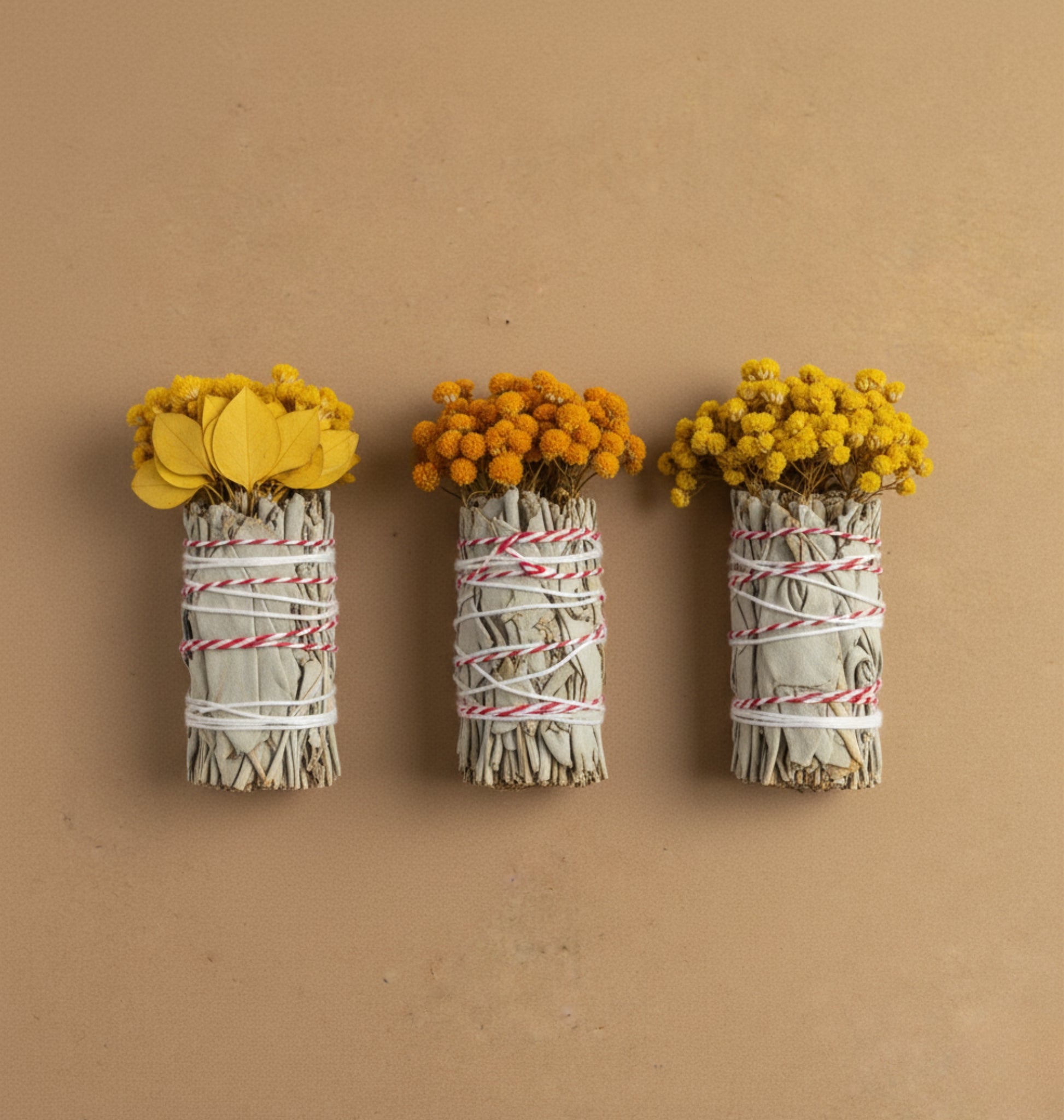 Three bundles of natural whitesage with yellow flowers on a beige background