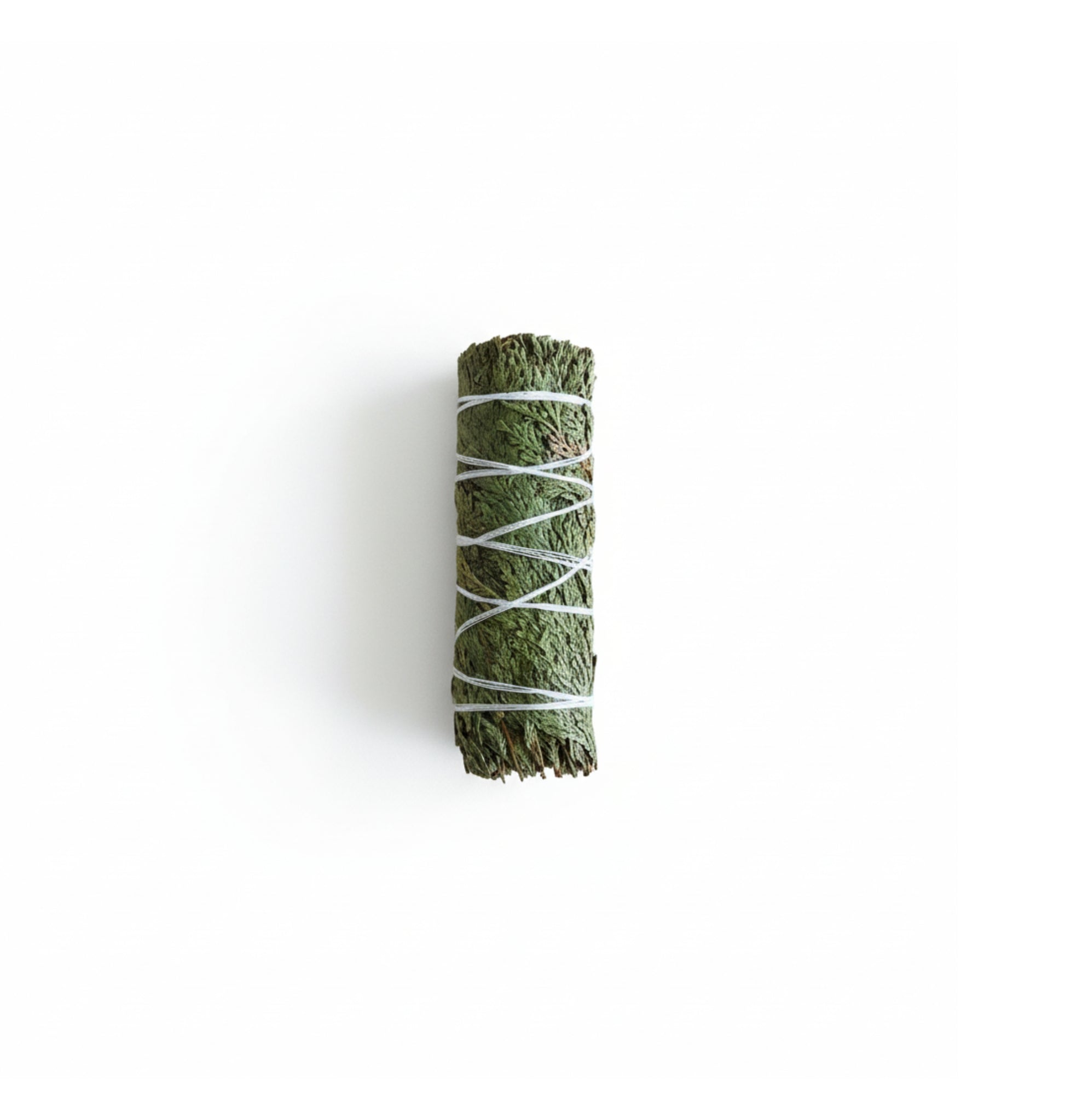 100% Natural Cedar Smudge bundle wrapped with white string on a white background